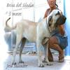 brisa