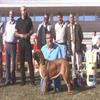 Bis Cachorros Monográfica CEMa 2005 Otelo del Siledín